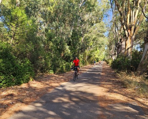 In bici alla Riserva Naturale Le Cesine