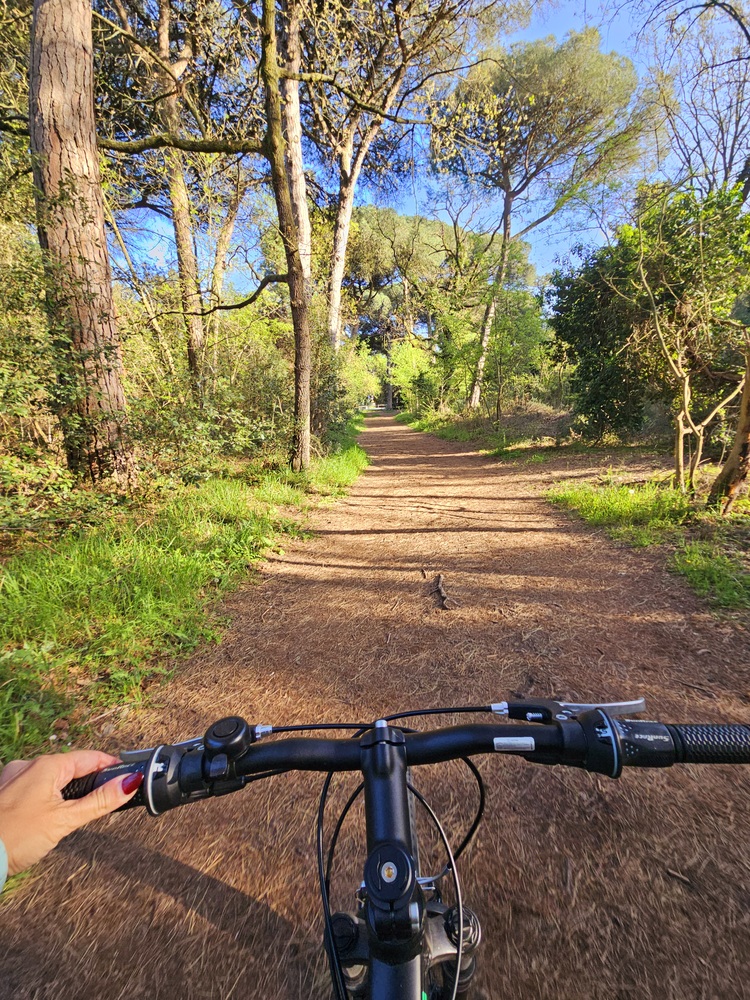 In bici nella pineta di Marina di Ravenna