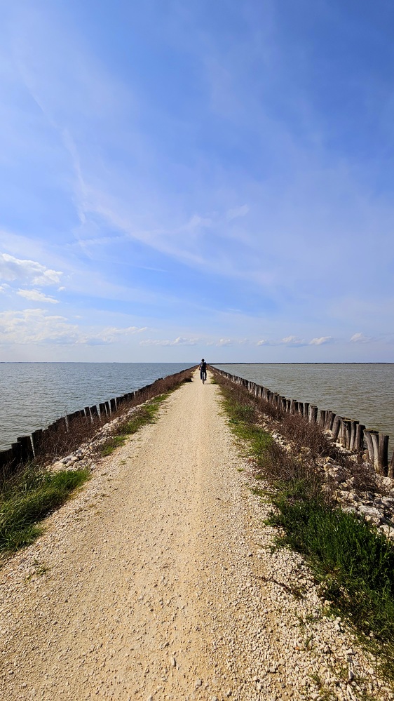 Valli di Comacchio